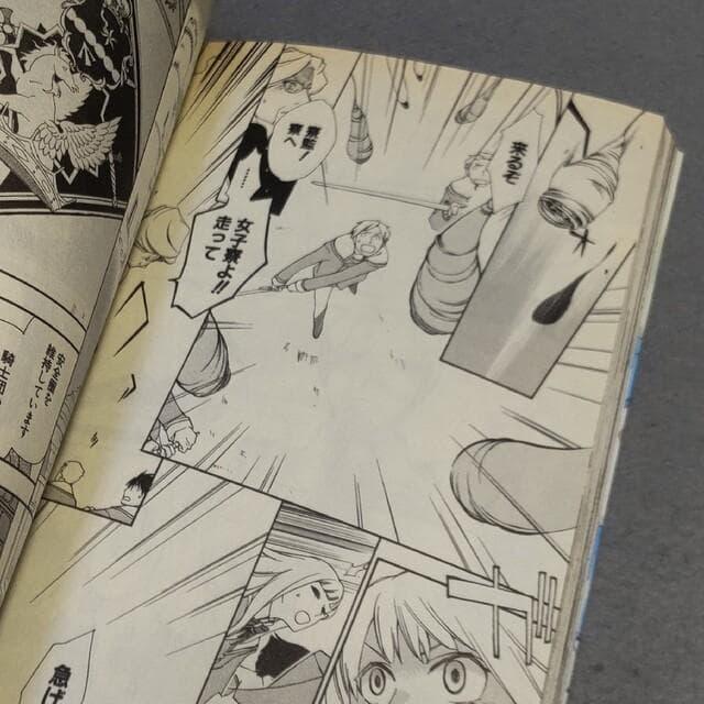 ランドリオール Landreaall 12 おがきちか < アニメ/コミック/キャラクター ランドリオール Landreaall 12 おがきちか < アニメ/コミック/キャラクターの