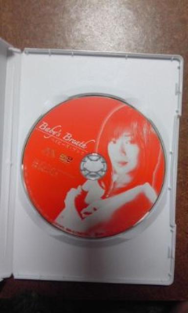 ベイビーズ・ブレス 浅田好未、金子賢 < CD/DVD/ビデオ  ベイビーズ・ブレス 浅田好未、金子賢 < CD/DVD/ビデオの