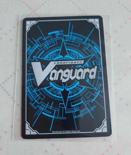 �J�[�h�t�@�C�g�I�I���@���K�[�h ������ݎ��ω� �A���N �m�[�}��EB06/028 C 859