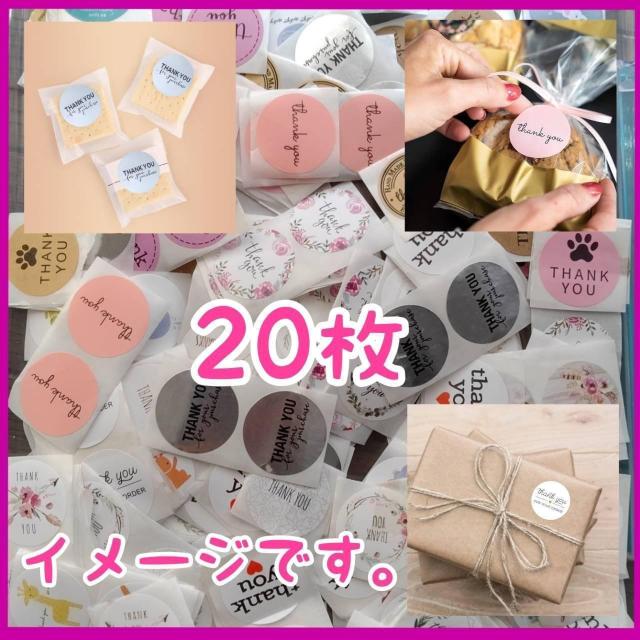 ���� ���R�� 100�� + �T���L���[�V�[�� 20��