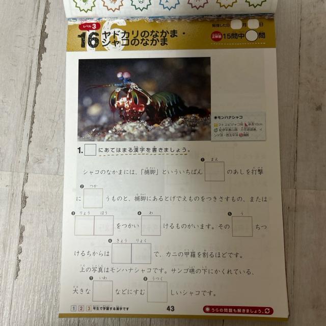 図鑑漢字ドリル : 小学1-6年生 1★危険生物 < 本/雑誌  図鑑漢字ドリル : 小学1-6年生 1★危険生物 < 本/雑誌の