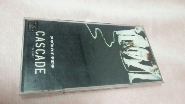 zCASCADEAUJiLZLȃAR(LM)/   ^gObY 