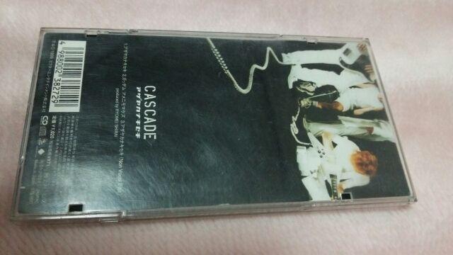 zCASCADEAUJiLZLȃAR(LM)/  ^gObY 