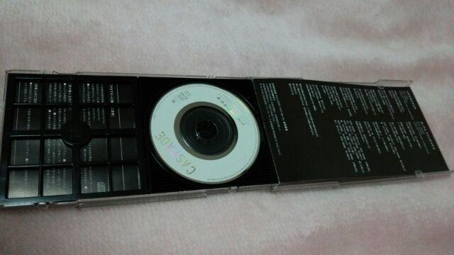 zCASCADEAUJiLZLȃAR(LM)/  ^gObY 