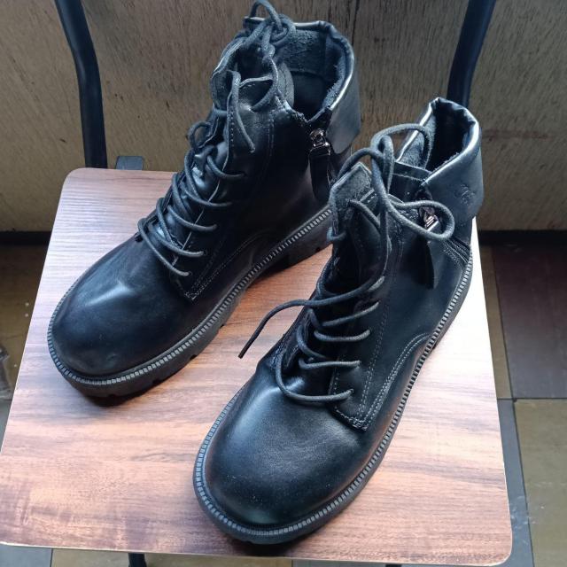 Vi 24.5cm fB[X u[c ubN  V[Y TChSA   t@bV 