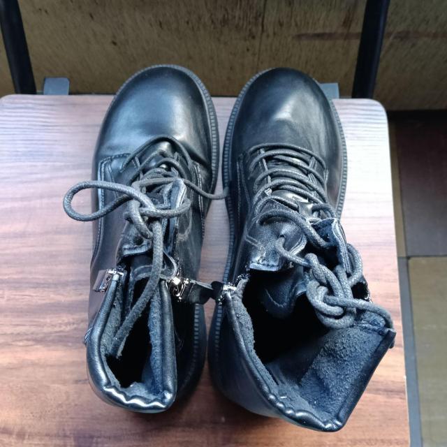 Vi 24.5cm fB[X u[c ubN  V[Y TChSA  t@bV 