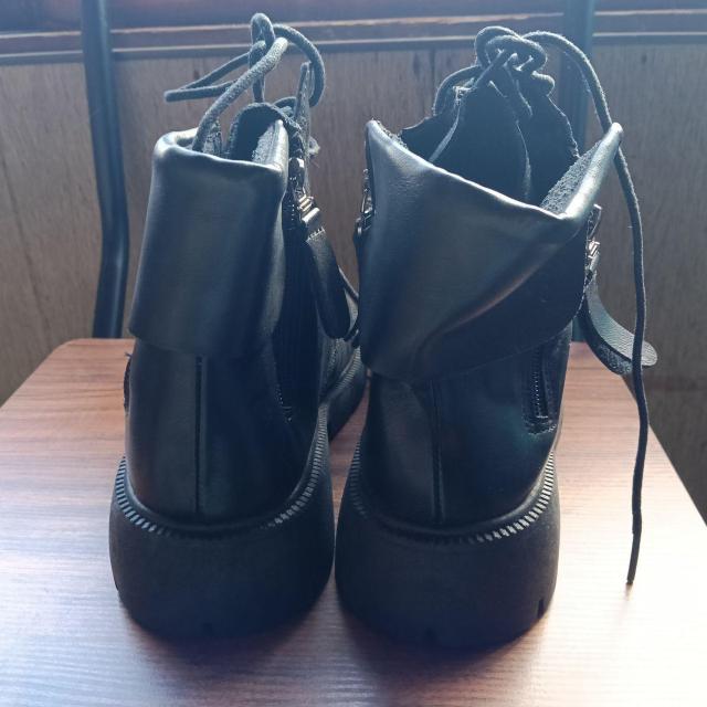 Vi 24.5cm fB[X u[c ubN  V[Y TChSA  t@bV 