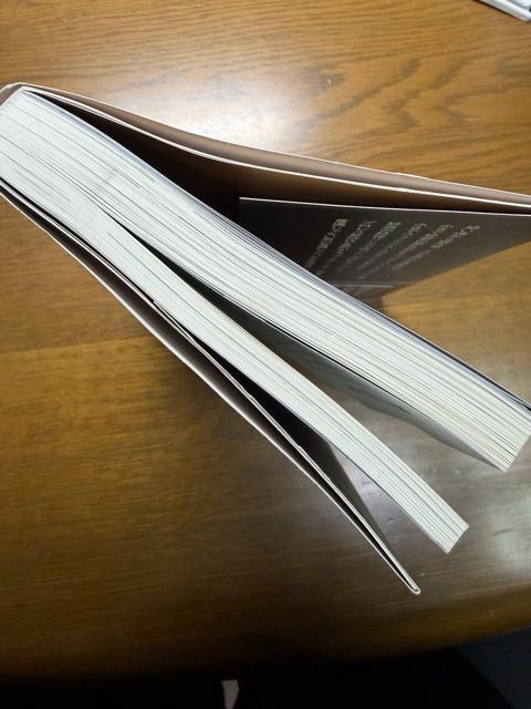 �S�[���f�����X�^�[�ѕ��K�� �ŋ��ҁ@�s�P�s�{�t �� �{/�G���� 