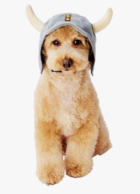 犬用★ワンちゃん★ほっかむり★変身グッズ★バイキング★海賊★ハロウィン★可愛い★ペット用仮装グッズ★ペット★新品未使用★送料無料 < ペット/手芸/園芸  犬用★ワンちゃん★ほっかむり★変身グッズ★バイキング★海賊★ハロウィン★可愛い★ペット用仮装グッズ★ペット★新品未使用★送料無料 < ペット/手芸/園芸の