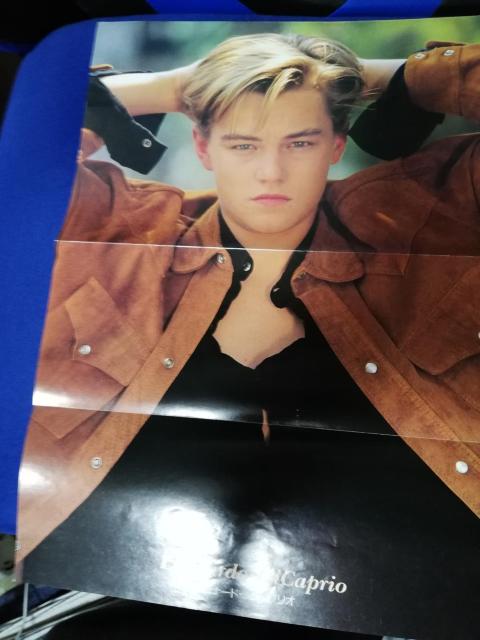 y|X^[zIihEfBJvI  p_CX̓S/Ԃ̂ł   zr[ 