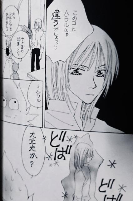 ハウルの動く城同人誌「月のワルツ」ハウル×ソフィー < アニメ/コミック/キャラクター  ハウルの動く城同人誌「月のワルツ」ハウル×ソフィー < アニメ/コミック/キャラクターの