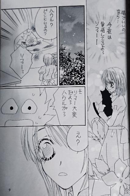 ハウルの動く城同人誌「月のワルツ」ハウル×ソフィー < アニメ/コミック/キャラクター  ハウルの動く城同人誌「月のワルツ」ハウル×ソフィー < アニメ/コミック/キャラクターの
