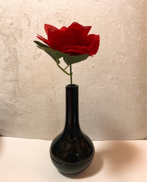 インテリア灰皿*花瓶* < インテリア/ライフ  インテリア灰皿*花瓶* < インテリア/ライフの