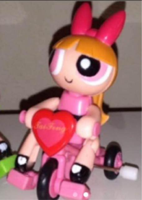 Ɋ󏭕i@p[ptK[Y TCNO ubT@lW  Aj/R~bN/LN^[ 