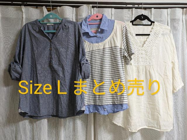 []Sizek`LL/wl/tĂ܂Ƃߔ//   t@bV 