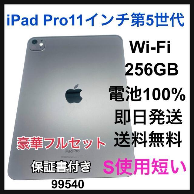 dr100% iPad  Pro 5 11C`@256 GB Wi-Fi 
