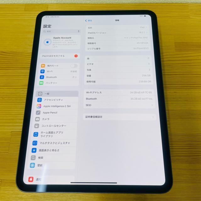 dr100% iPad  Pro 5 11C`@256 GB Wi-Fi