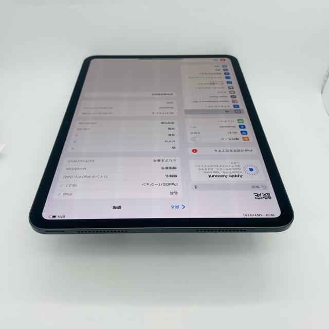 dr100% iPad  Pro 5 11C`@256 GB Wi-Fi