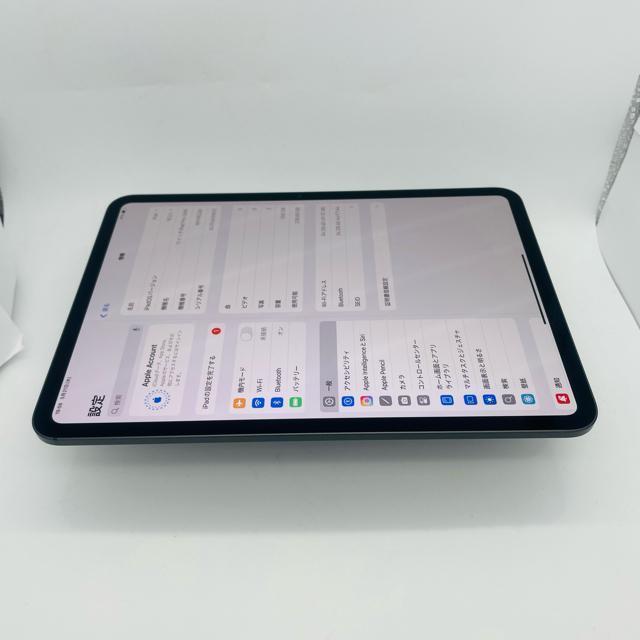 dr100% iPad  Pro 5 11C`@256 GB Wi-Fi