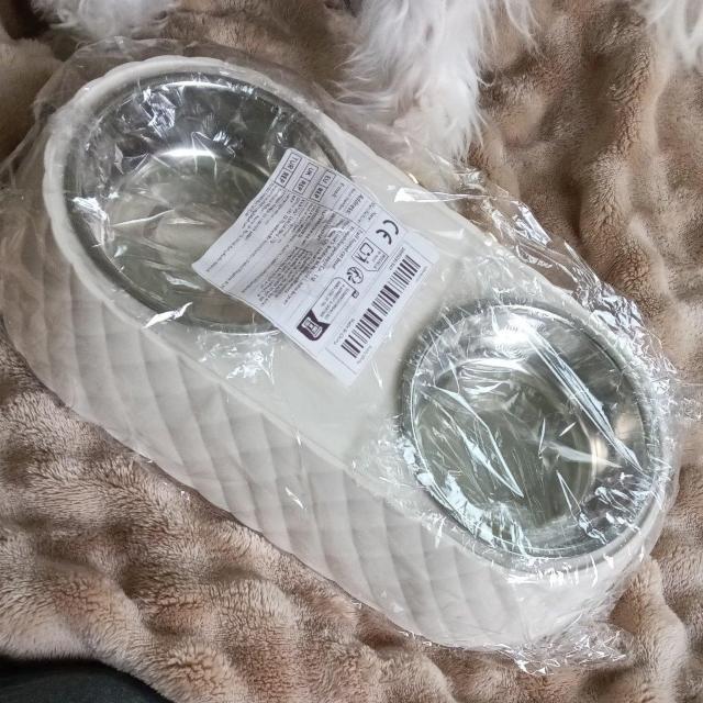 S[WXȃybgpt[hMVi  ybg/|/| 