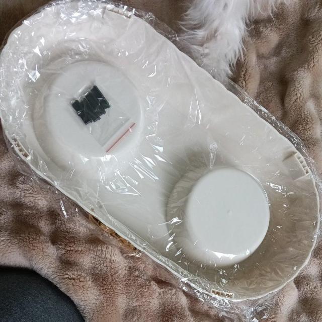 S[WXȃybgpt[hMVi  ybg/|/| 