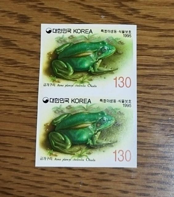 韓国1995年発行特定野生動・植物保護シリーズ 金開蛙 切手 130ウォン2枚 未使用 < ホビー 韓国1995年発行特定野生動・植物保護シリーズ 金開蛙 切手 130ウォン2枚 未使用 < ホビーの