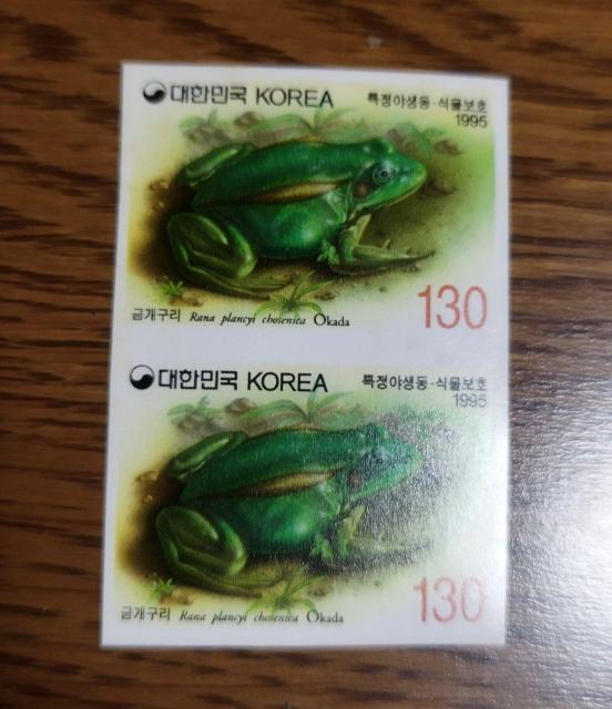 韓国1995年発行特定野生動・植物保護シリーズ 金開蛙 切手 130ウォン2枚 未使用 < ホビー 韓国1995年発行特定野生動・植物保護シリーズ 金開蛙 切手 130ウォン2枚 未使用 < ホビーの