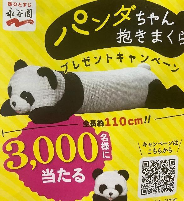 �p���_���������܂���/3000���l3��  �� �`�P�b�g/������ 