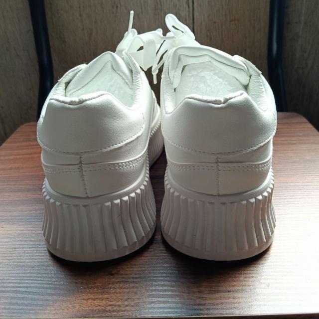 Vi 22.5cm fB[X Xj[J[ zCg V[Y C JWA  t@bV 