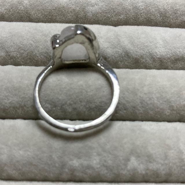 VR΁@wց@O@19  jANZT[/v 