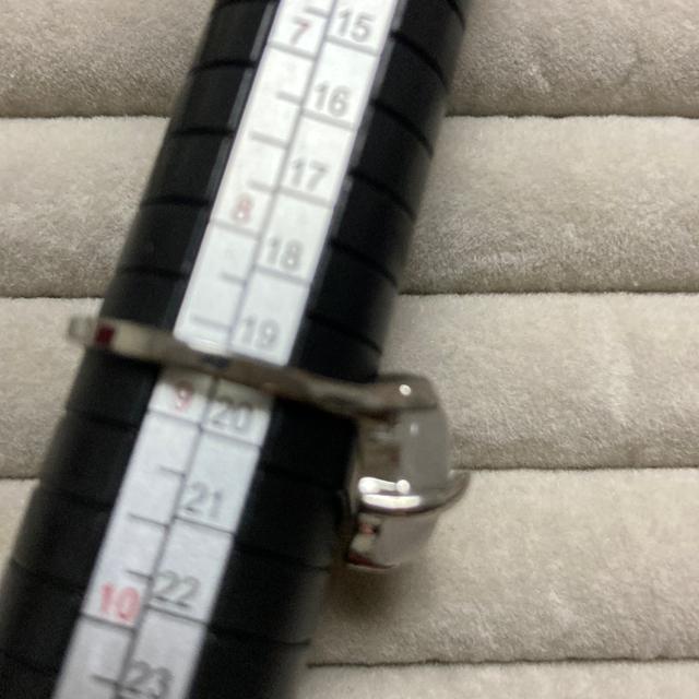 VR΁@wց@O@19  jANZT[/v 