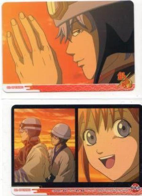 �⍰A���g���J�@OP�J�[�h�@Z-643�@8th OPENIING 