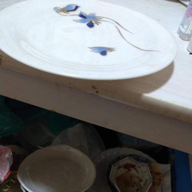 皿 < インテリア/ライフ 皿 < インテリア/ライフの