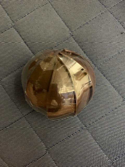 ダンゴムシ < ホビー  ダンゴムシ  < ホビーの