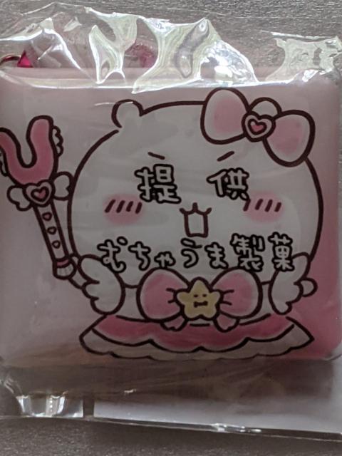 ちいかわ まじかるちいかわカラビナ付クリアポーチ&おきがえパジャママスコット A点セット < アニメ/コミック/キャラクター  ちいかわ まじかるちいかわカラビナ付クリアポーチ&おきがえパジャママスコット A点セット < アニメ/コミック/キャラクターの