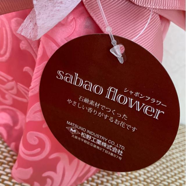 )gpV{t[(sNn)Bv[gȂǂɁB  CeA/Ct 