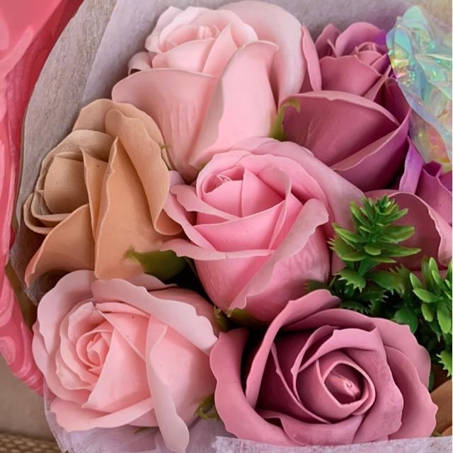 )gpV{t[(sNn)Bv[gȂǂɁB  CeA/Ct 