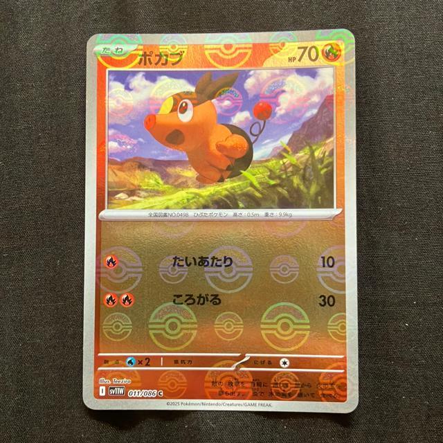ポケモンカード ポカブ マスボ モンボ セット < トレーディングカード  ポケモンカード ポカブ マスボ モンボ セット < トレーディングカードの