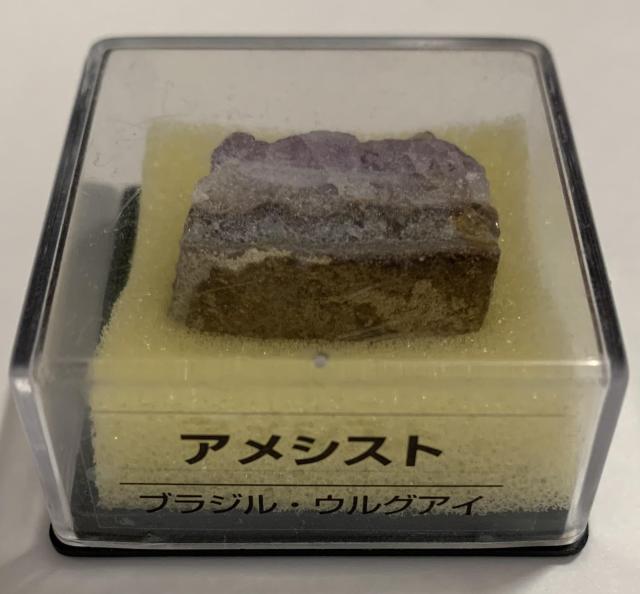 yzfBASXeB[j gW[Xg[ AVXg uWEEOAC ẑ qȂ   zr[ 