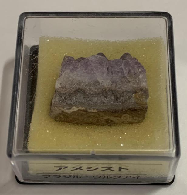 yzfBASXeB[j gW[Xg[ AVXg uWEEOAC ẑ qȂ  zr[ 