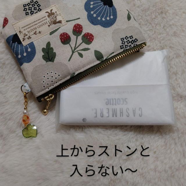 䕁ԕt@Xi[|[`ƃ~jВ|PbgeBbVTCY  t@bV 