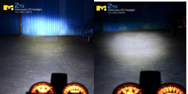 LED�w�b�h���C�g�o���u�@M�Q�r�@H4 �@6W 800LM 6000K �� ������/�o�C�N