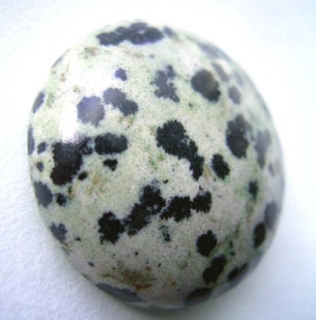 _VAWXp[[X@a2.3Z`  ANZT[/v 