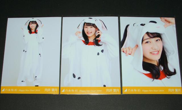 乃木坂46 向井葉月 生写真3枚 Happy New Year! 2018 < タレントグッズ  乃木坂46 向井葉月 生写真3枚 Happy New Year! 2018  < タレントグッズの