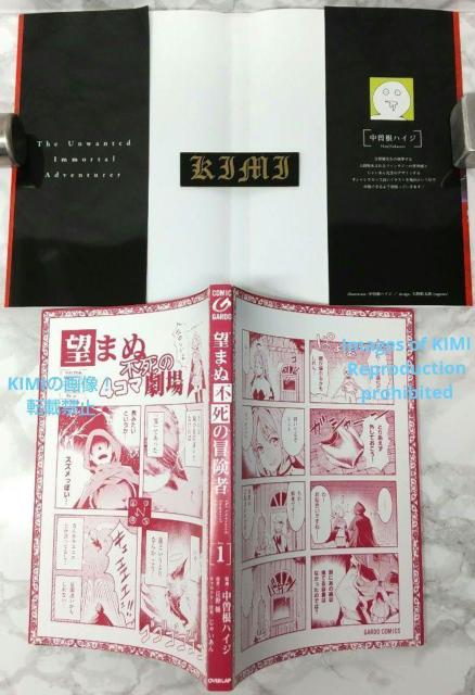 初版 望まぬ不死の冒険者 1 漫画 コミック 本 単行本 2018 中曽根ハイジ(作画),丘野優(著者),じゃいあん(イラスト) < アニメ/コミック/キャラクター  初版 望まぬ不死の冒険者 1 漫画 コミック 本 単行本 2018 中曽根ハイジ(作画),丘野優(著者),じゃいあん(イラスト) < アニメ/コミック/キャラクターの