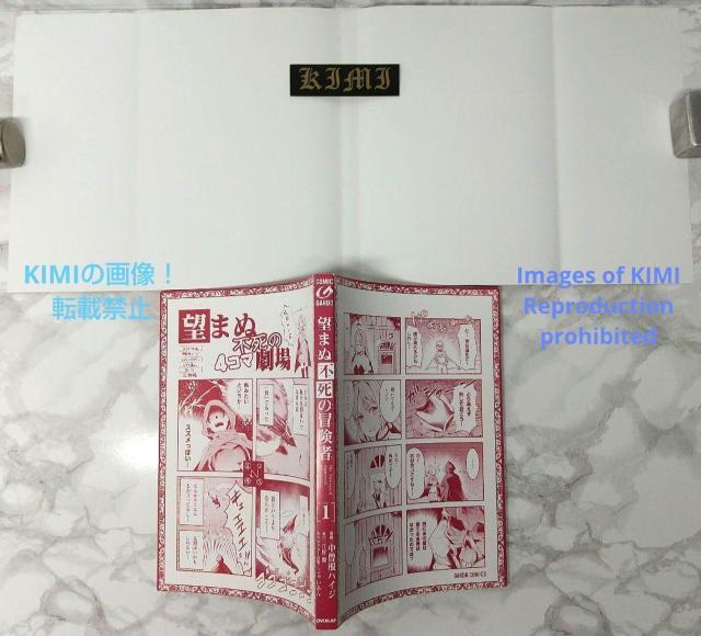 初版 望まぬ不死の冒険者 1 漫画 コミック 本 単行本 2018 中曽根ハイジ(作画),丘野優(著者),じゃいあん(イラスト) < アニメ/コミック/キャラクター  初版 望まぬ不死の冒険者 1 漫画 コミック 本 単行本 2018 中曽根ハイジ(作画),丘野優(著者),じゃいあん(イラスト) < アニメ/コミック/キャラクターの