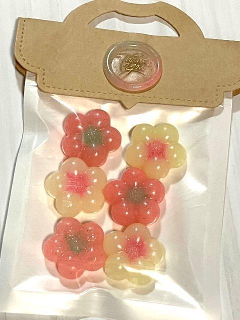 IWiV[ObNX@fR[V@bsO@|Cg 