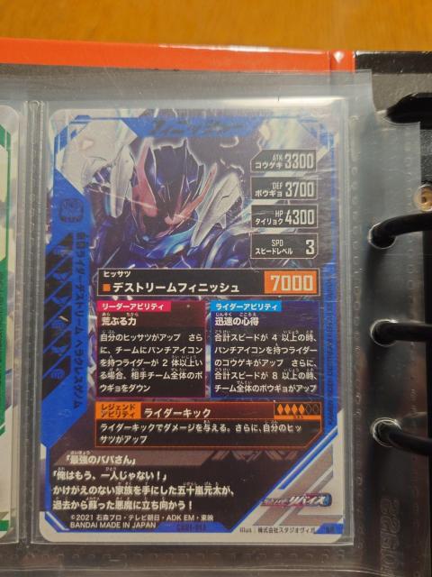 KoWFYCX01-013ʃC_[fXg[ wNXQm  g[fBOJ[h 