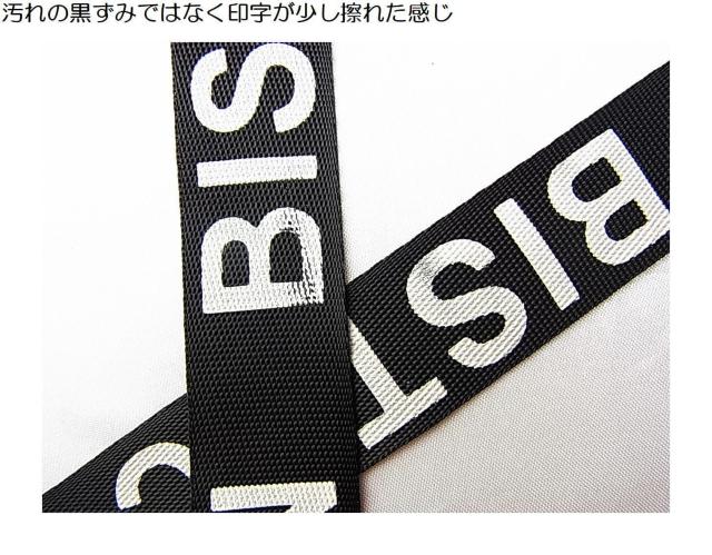 500�~�X�^��BISTEC JAPAN �r�X�e�b�N�W���p�� �L�����[�^ 2way�V�����_�[�o�b�N �}���`�|�[�` �� �� �����t�@�b�V������ 