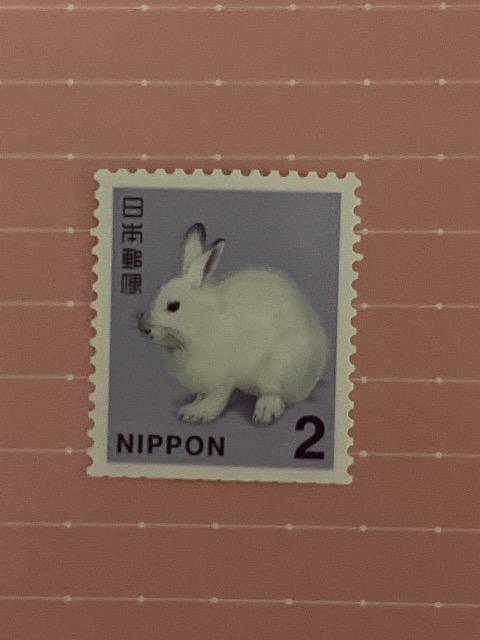 �Q�~�@�؎�@���D������������������  �� �z�r�[�� 